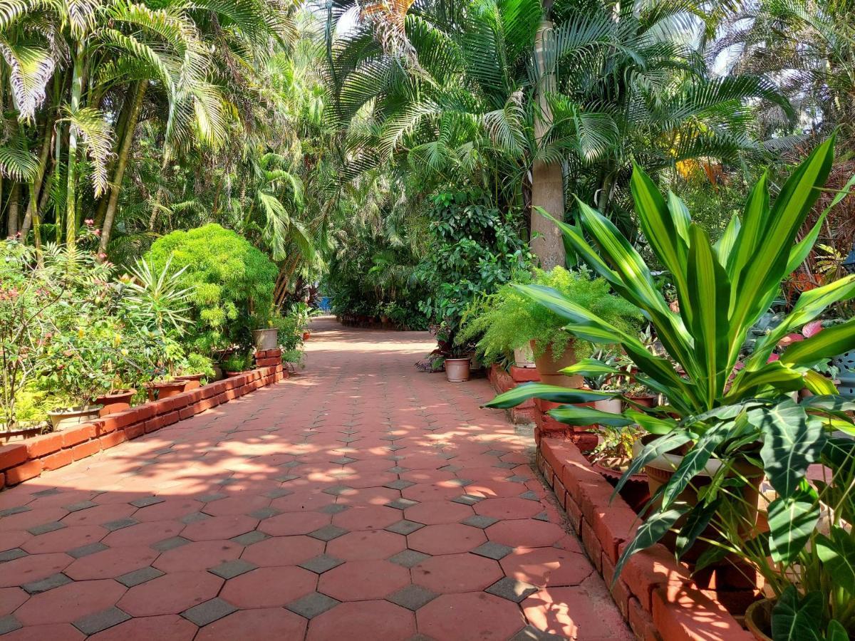 Palm Grove Cottages - Leisure Resort Benaulim Ngoại thất bức ảnh