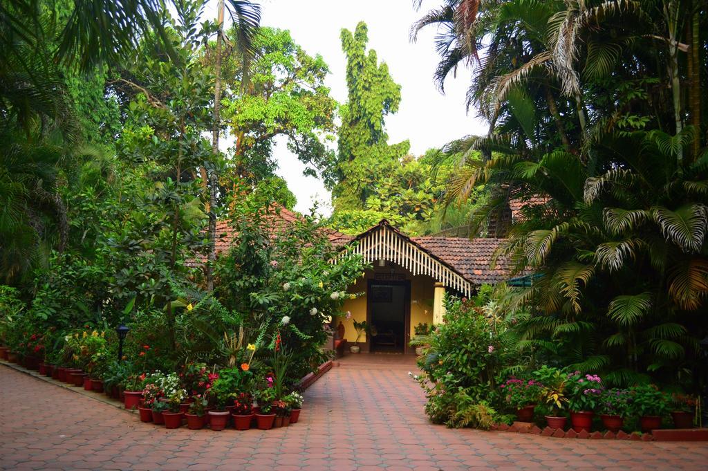 Palm Grove Cottages - Leisure Resort Benaulim Ngoại thất bức ảnh