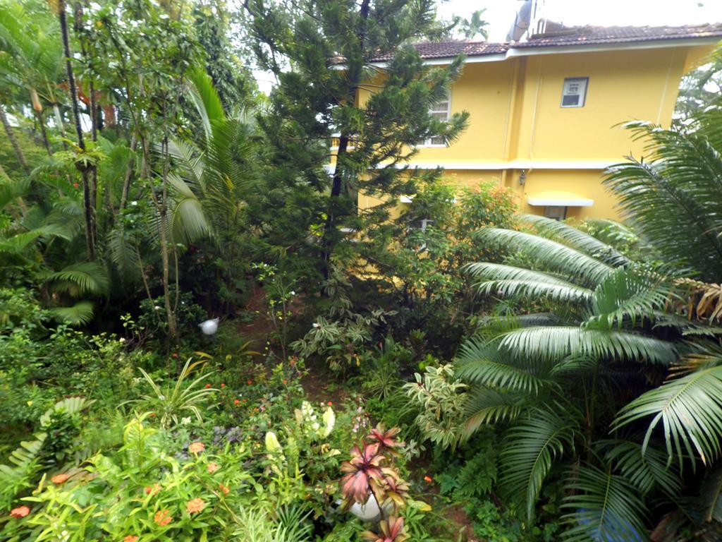 Palm Grove Cottages - Leisure Resort Benaulim Ngoại thất bức ảnh