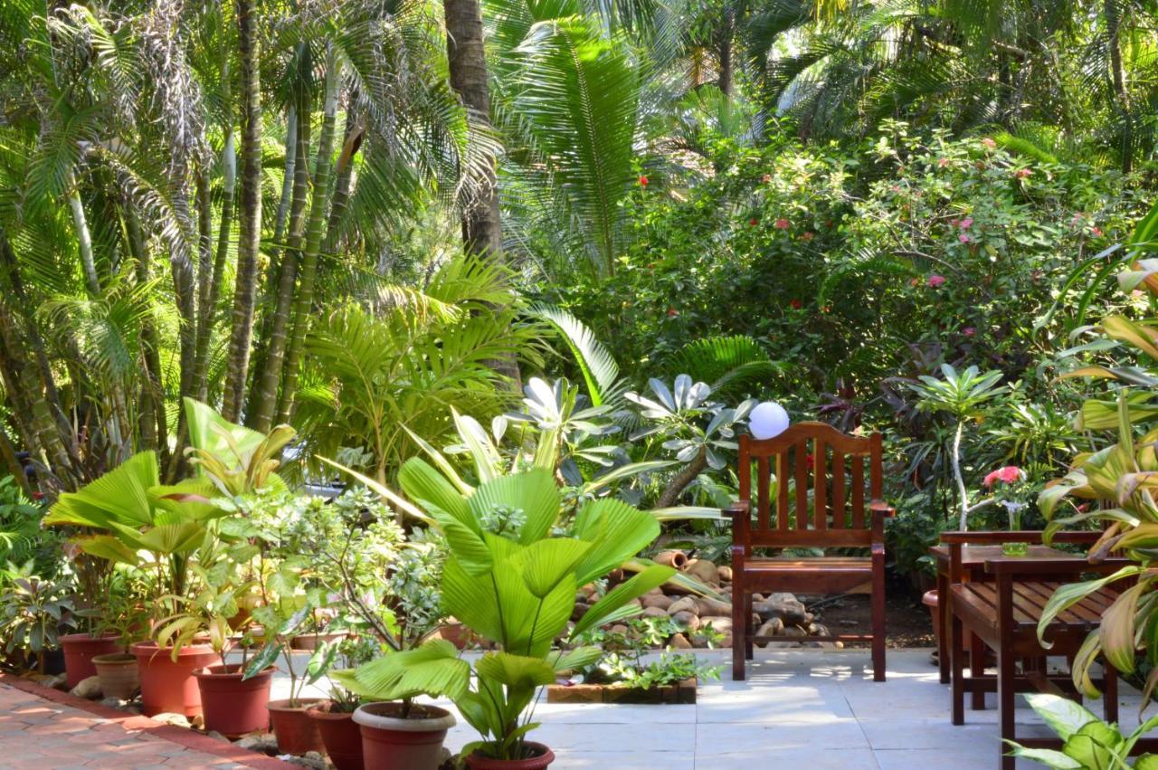 Palm Grove Cottages - Leisure Resort Benaulim Ngoại thất bức ảnh