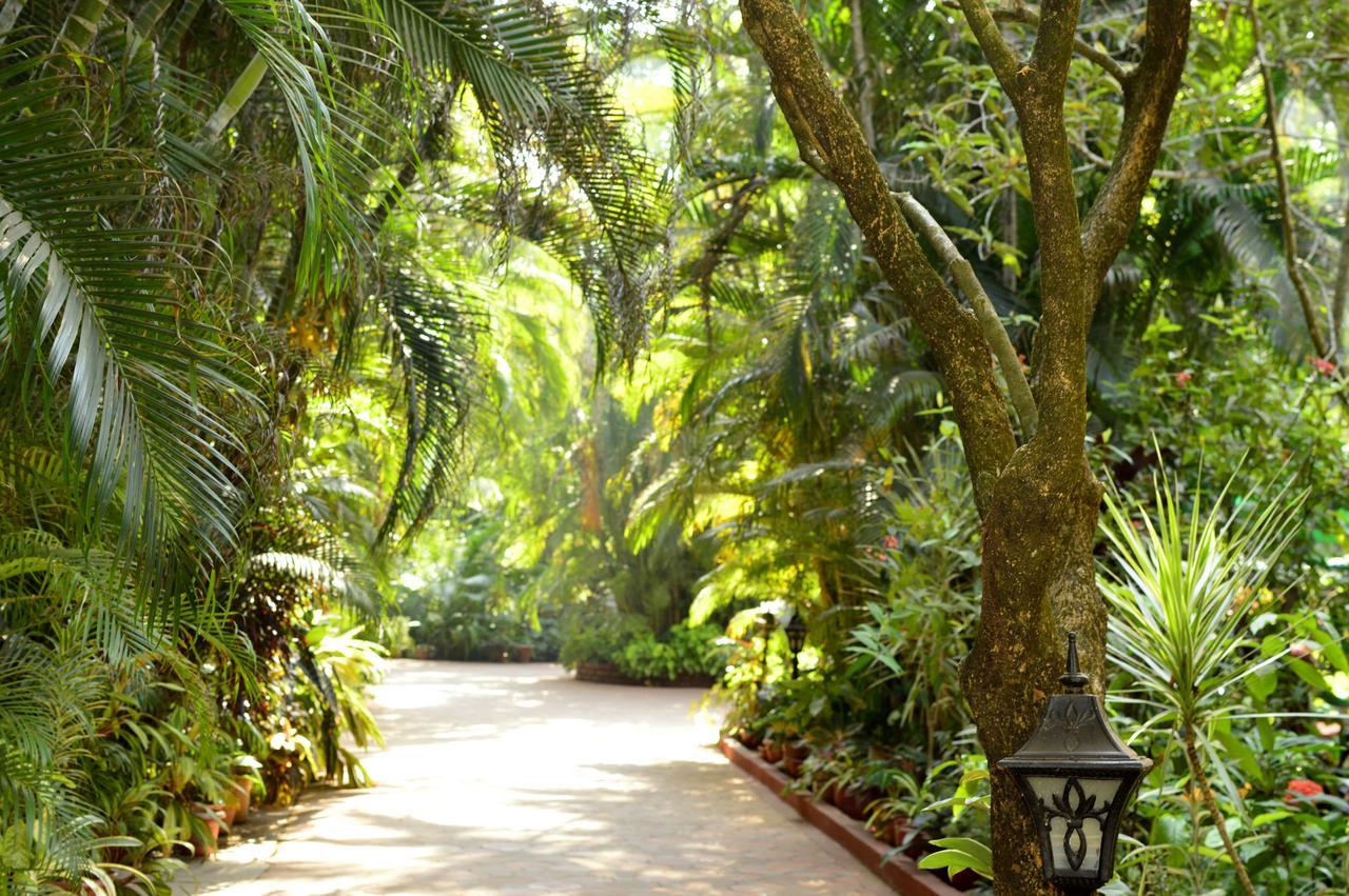 Palm Grove Cottages - Leisure Resort Benaulim Ngoại thất bức ảnh