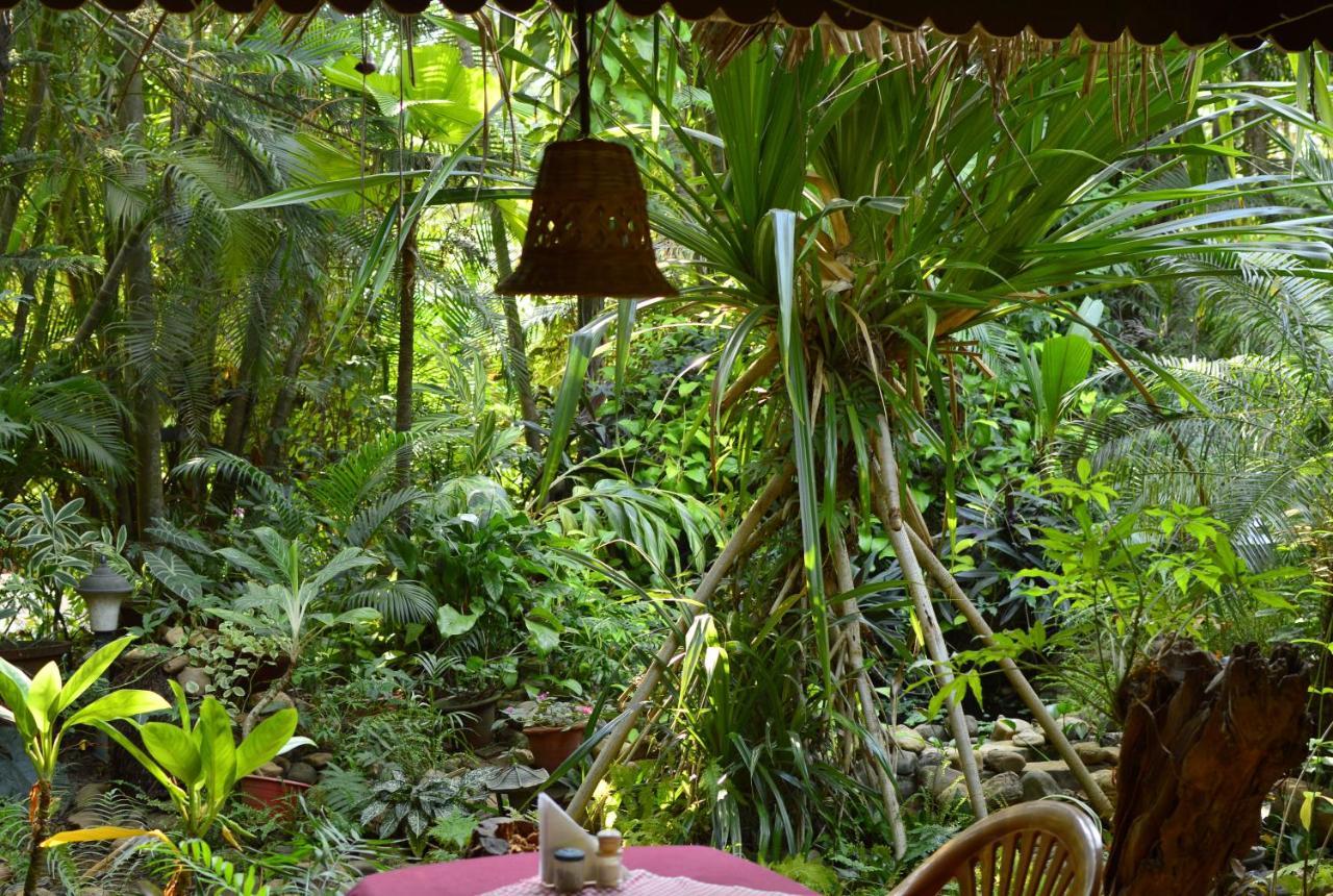 Palm Grove Cottages - Leisure Resort Benaulim Ngoại thất bức ảnh