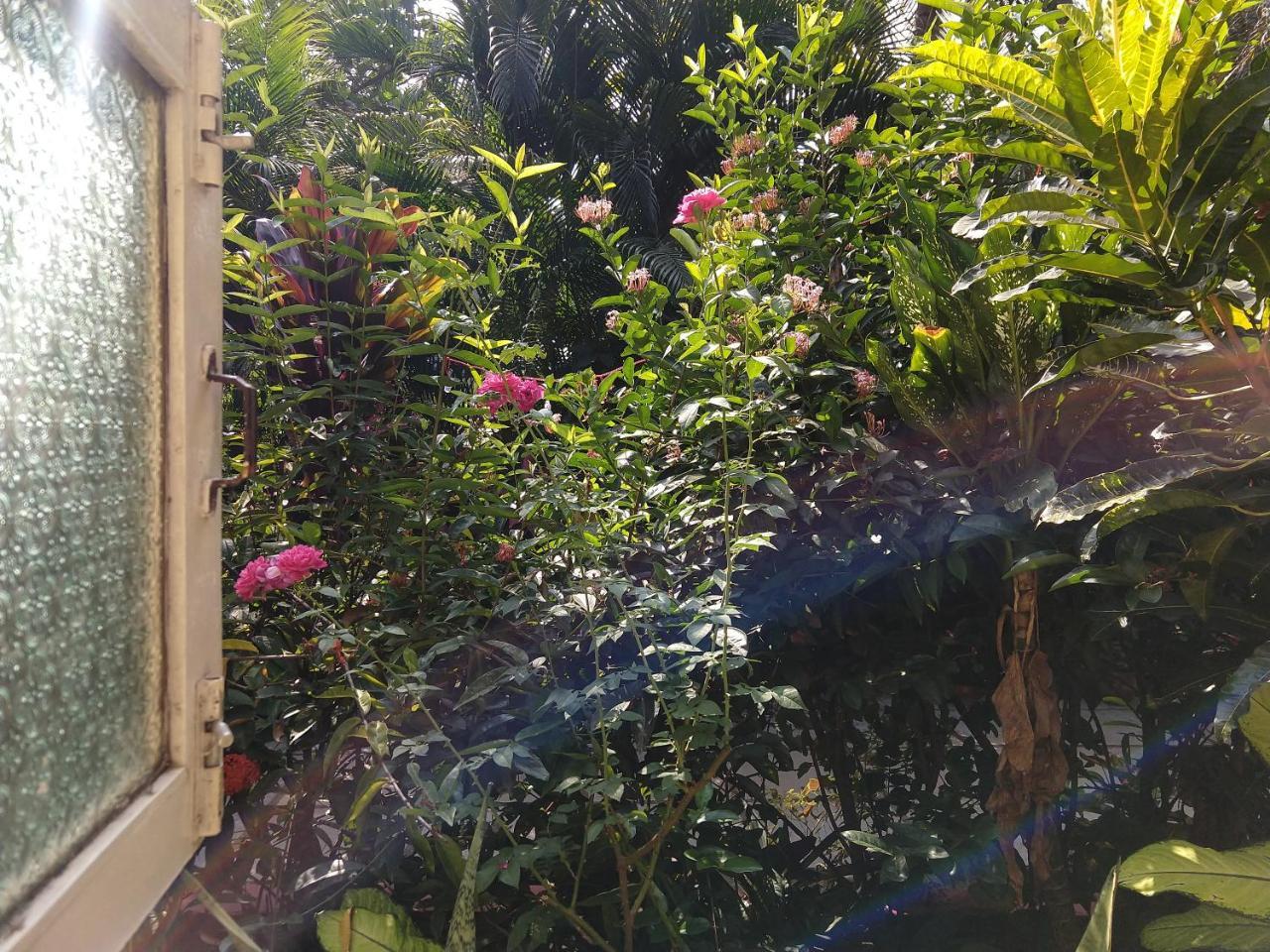 Palm Grove Cottages - Leisure Resort Benaulim Ngoại thất bức ảnh
